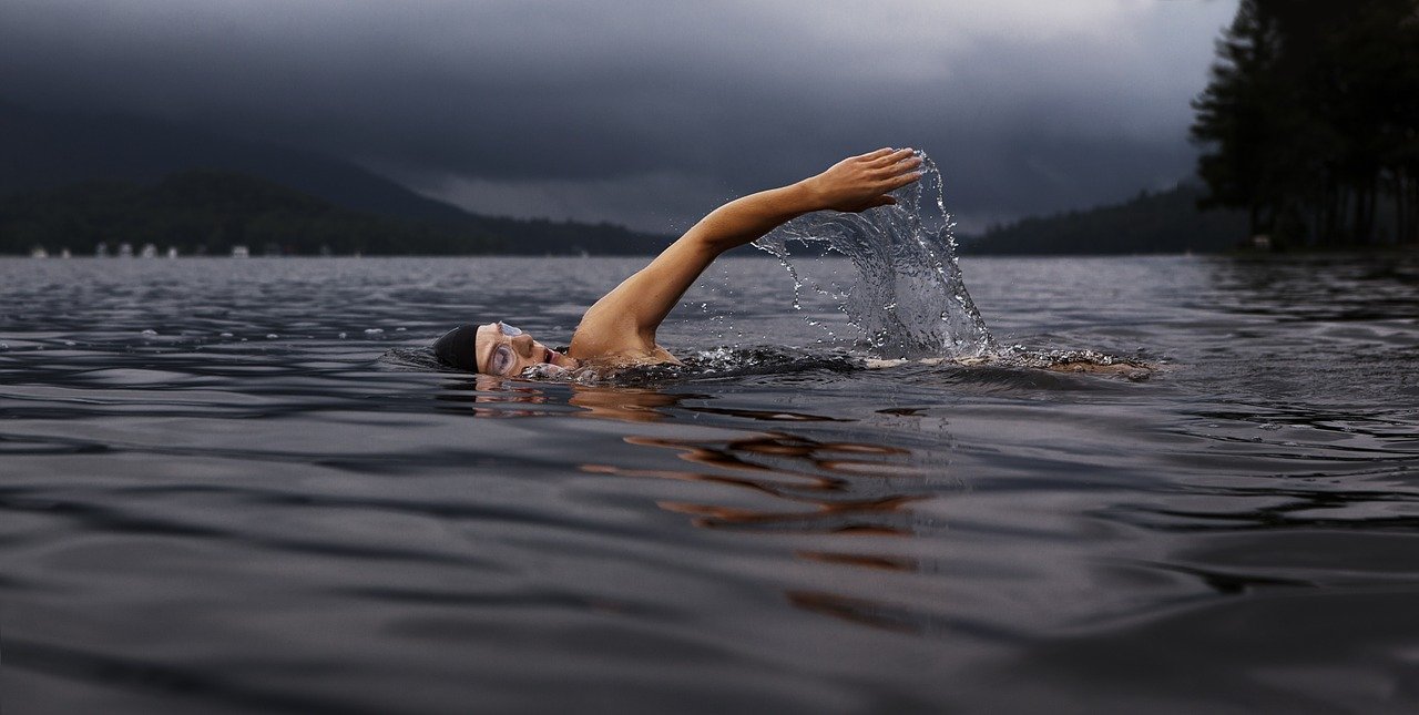 swim, swimmer, lake-864383.jpg